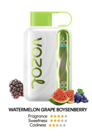 VOZOL STAR 40000  Puff Bigger，Puff Longer
